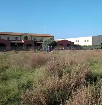 Foto annuncio 1