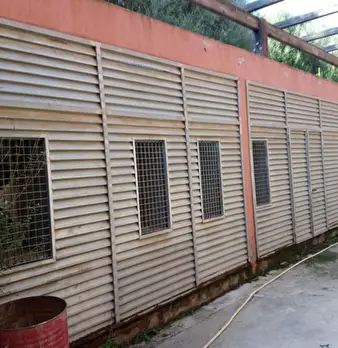 Foto annuncio 28