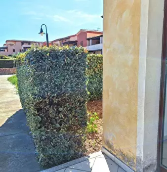 Foto annuncio 11