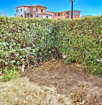 Foto annuncio 13