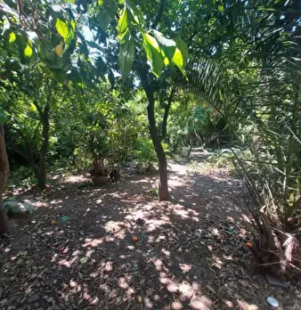 Foto annuncio 6