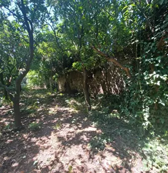 Foto annuncio 8