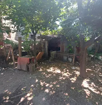 Foto annuncio 10
