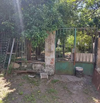 Foto annuncio 11