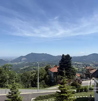 Foto annuncio 28