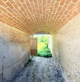 Foto annuncio 7