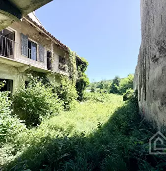 Foto annuncio 12