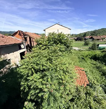 Foto annuncio 49
