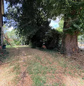 Foto annuncio 10