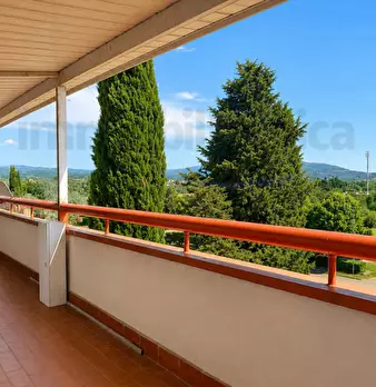Foto annuncio 25