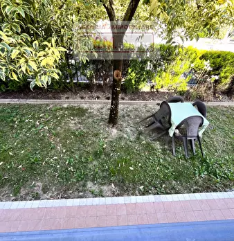 Foto annuncio 17