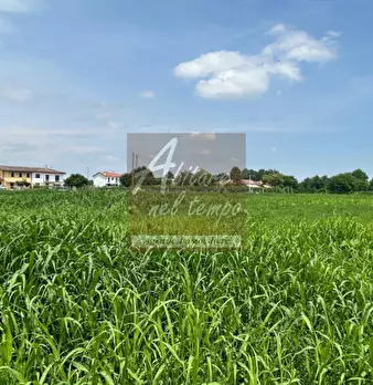 Foto annuncio 19