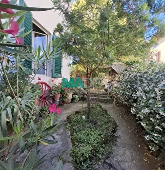 Foto annuncio 21