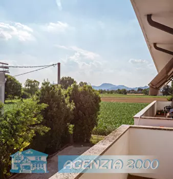 Foto annuncio 16