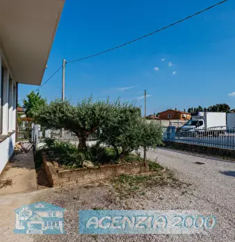Foto annuncio 46