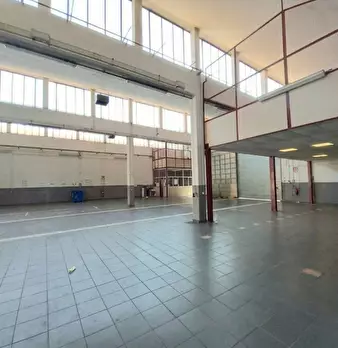 Foto annuncio 6