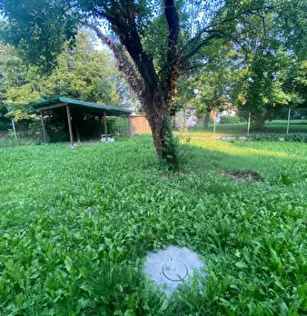 Foto annuncio 10