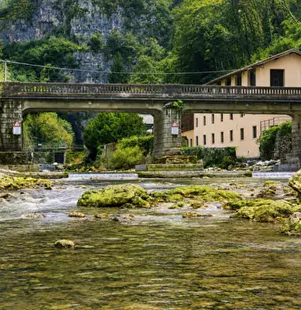 Foto annuncio 16