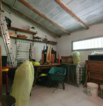 Foto annuncio 33