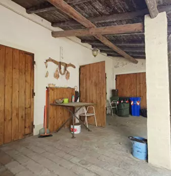 Foto annuncio 35