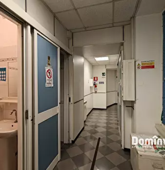 Foto annuncio 31