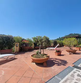 Foto annuncio 19