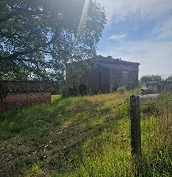 Foto annuncio 26