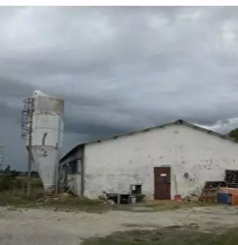 Foto annuncio 9