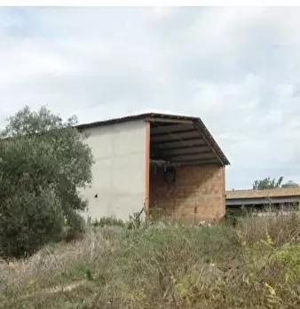 Foto annuncio 11