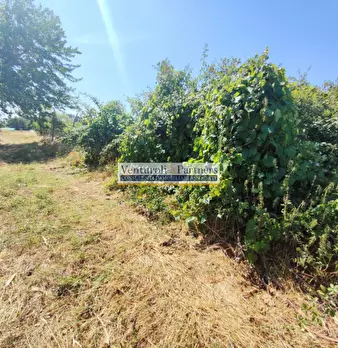 Foto annuncio 11