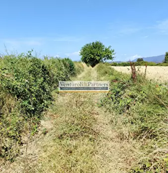 Foto annuncio 12