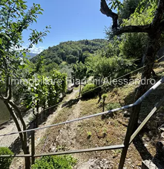Foto annuncio 11