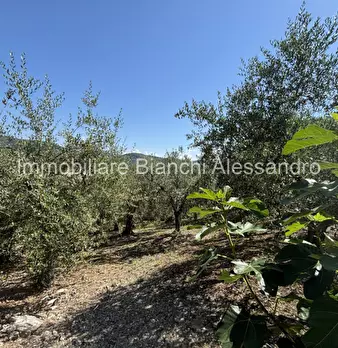 Foto annuncio 17