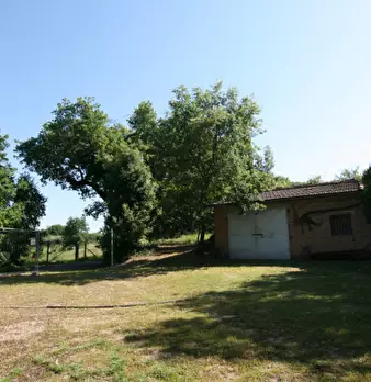 Foto annuncio 24