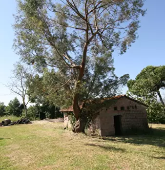 Foto annuncio 26