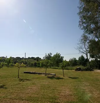 Foto annuncio 27