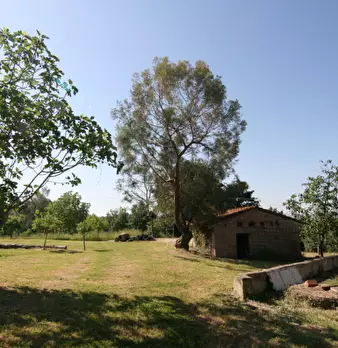 Foto annuncio 30