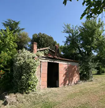 Foto annuncio 31