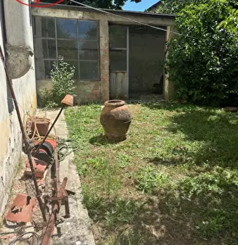 Foto annuncio 25