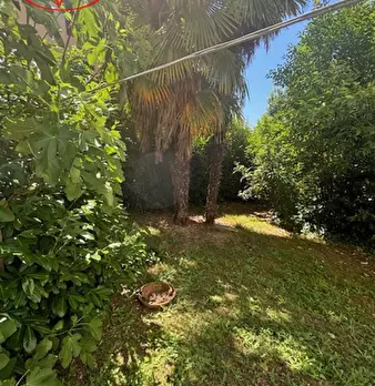 Foto annuncio 26