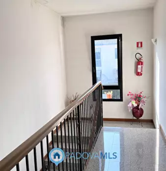 Foto annuncio 17