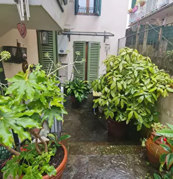 Foto annuncio 11
