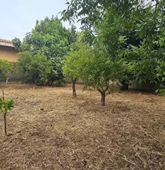 Foto annuncio 18