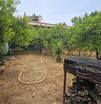 Foto annuncio 19