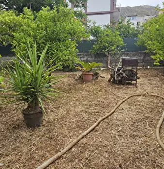 Foto annuncio 20