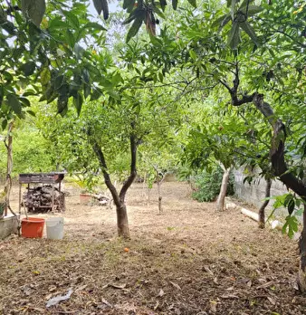 Foto annuncio 21