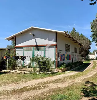 Foto annuncio 9