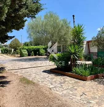 Foto annuncio 17
