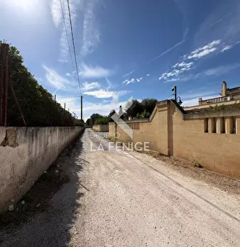 Foto annuncio 18
