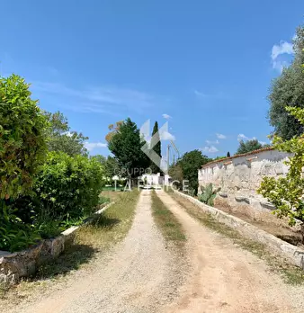 Foto annuncio 26